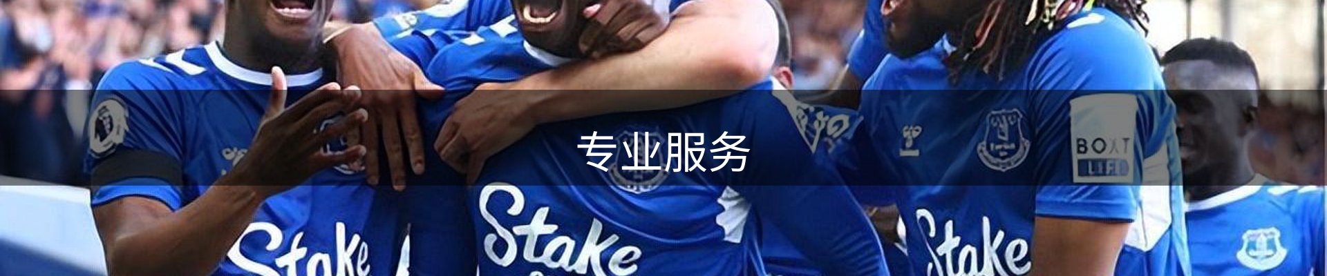 专业服务