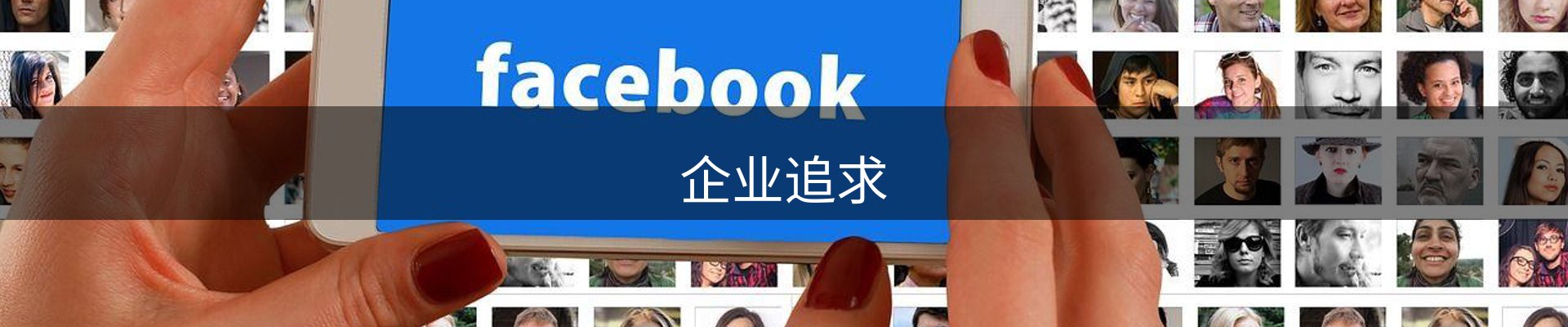 企业追求
